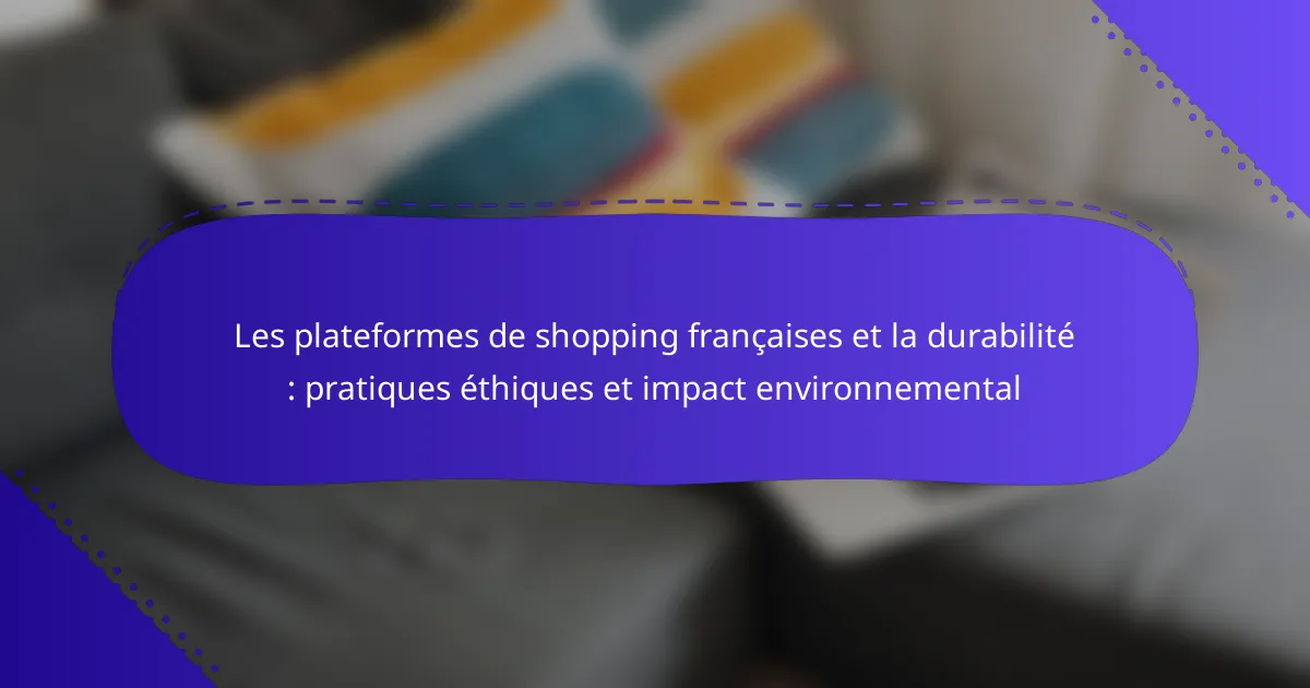 Les plateformes de shopping françaises et la durabilité : pratiques éthiques et impact environnemental