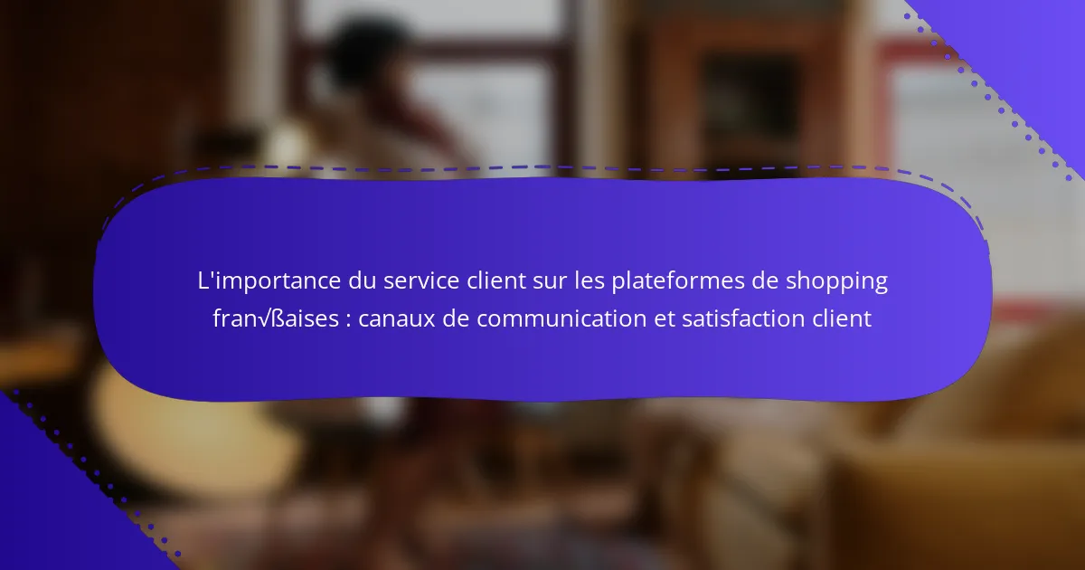 L’importance du service client sur les plateformes de shopping françaises : canaux de communication et satisfaction client