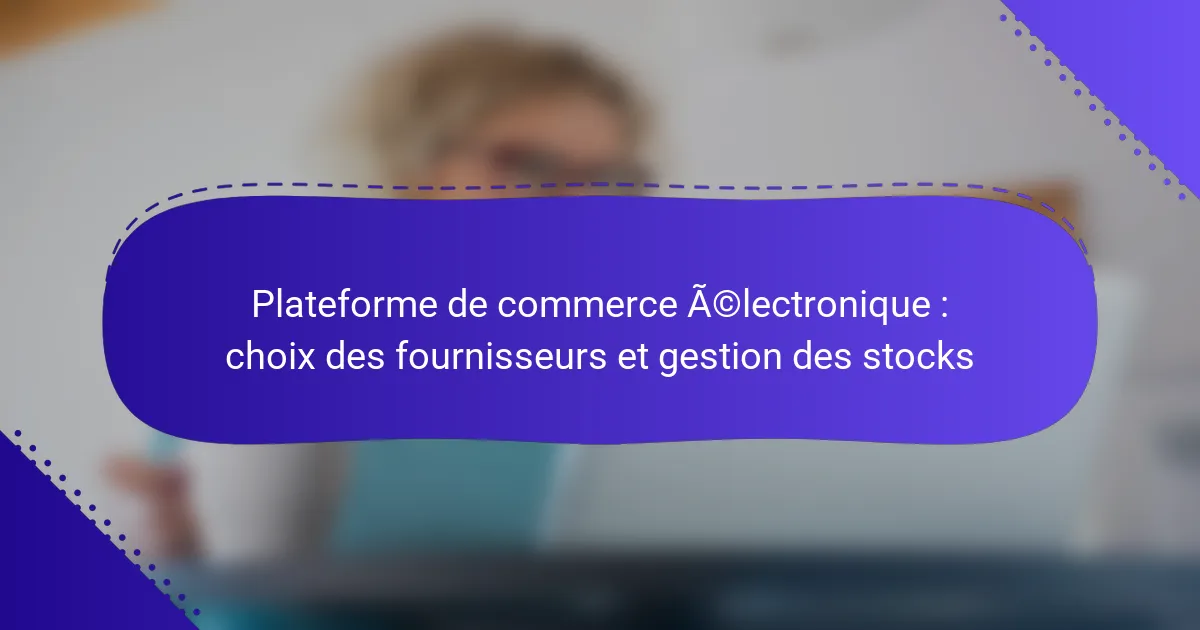 Plateforme de commerce électronique : choix des fournisseurs et gestion des stocks