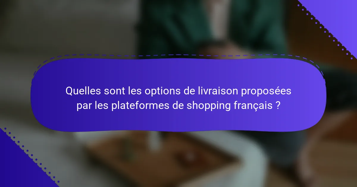 Quelles sont les options de livraison proposées par les plateformes de shopping français ?