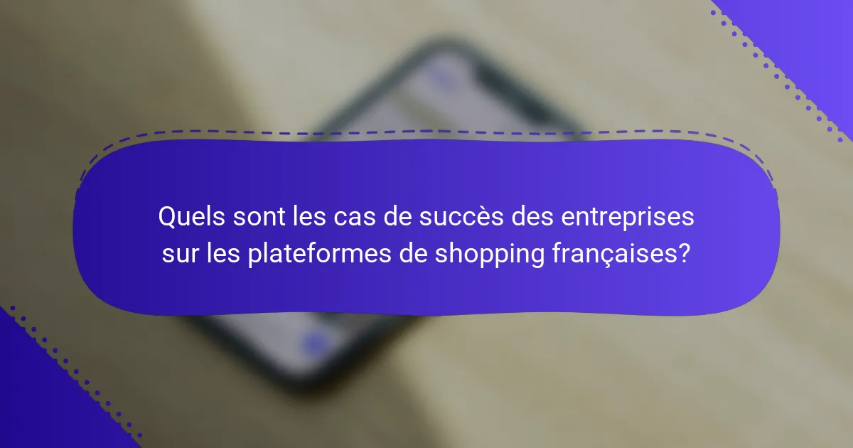 Quels sont les cas de succès des entreprises sur les plateformes de shopping françaises?